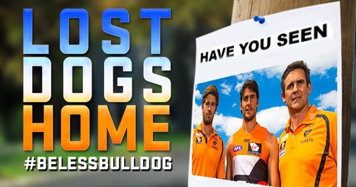 lost-dogs-home